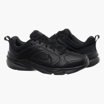 Кросівки чоловічі Nike Defy All Day (DJ1196-001) DJ1196-001 фото